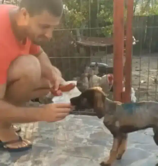 Extra image from article