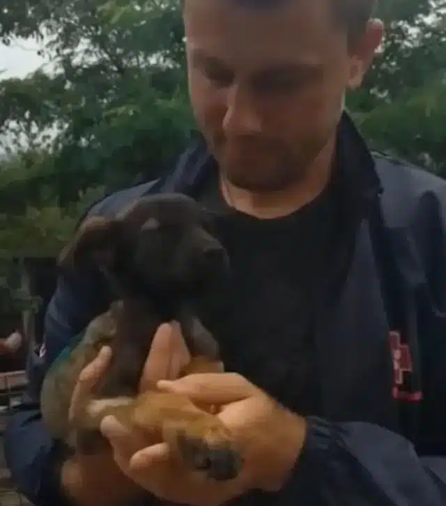 Extra image from article