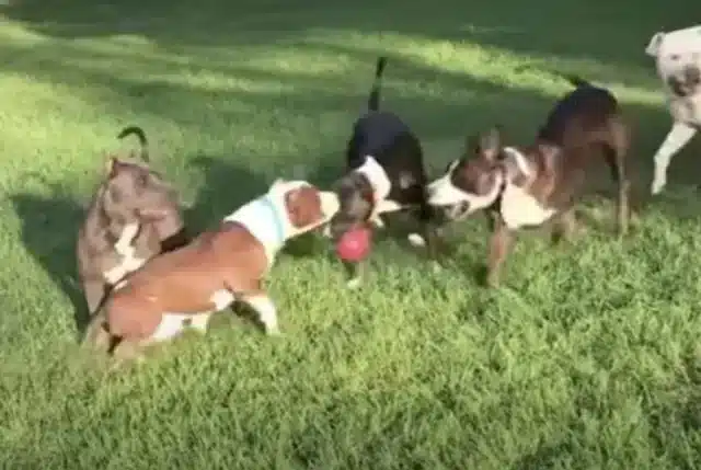 Iron quickly embraced life again, enjoyi...