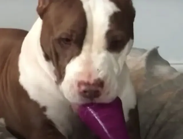 Extra image from article