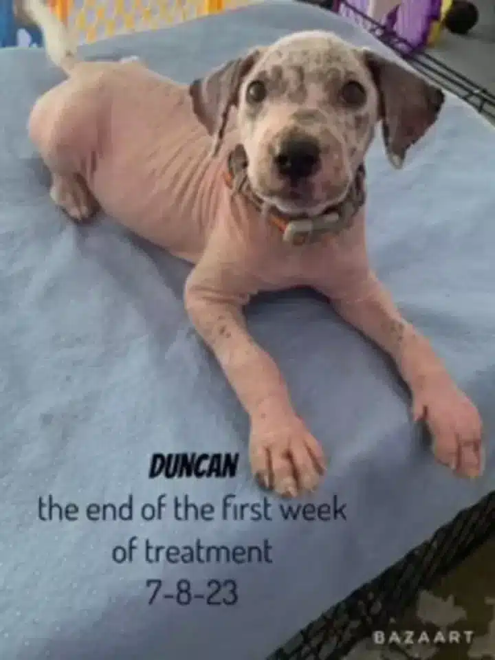 Although the team at FMAS misses Duncan'...