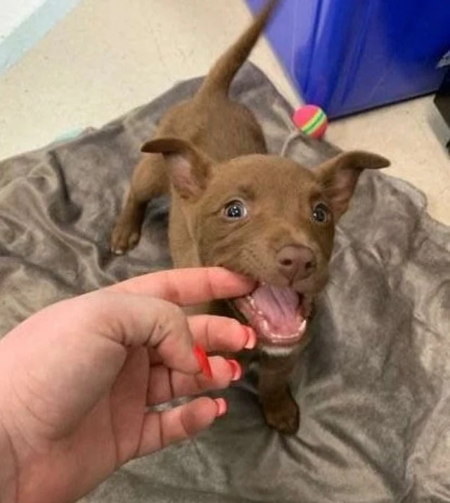 Extra image from article