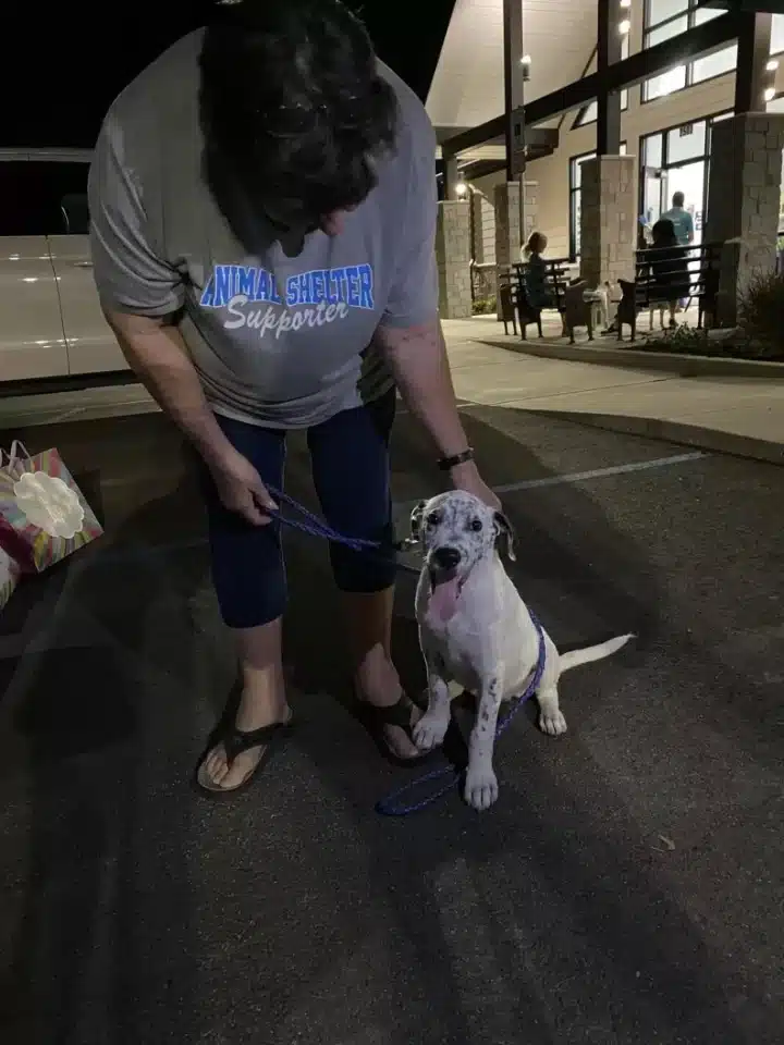 Extra image from article