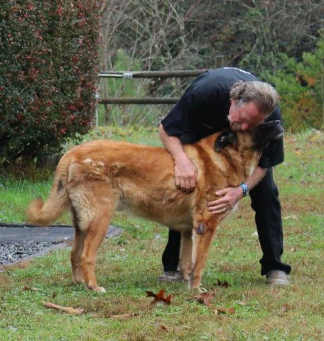 Extra image from article