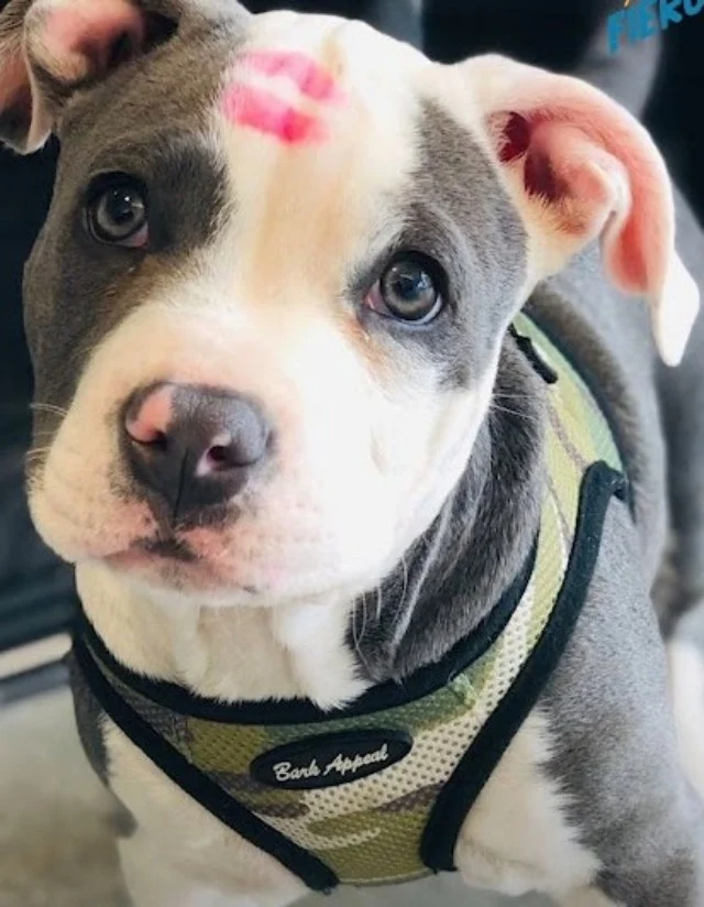 Extra image from article