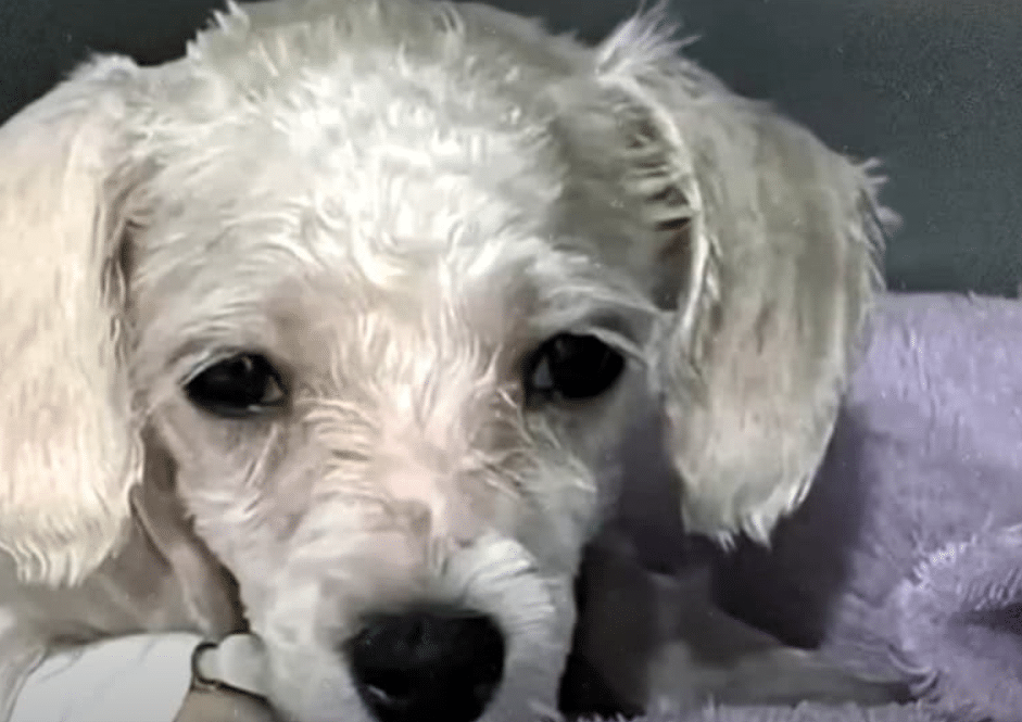 Extra image from article