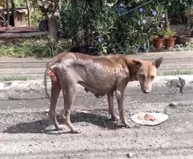 Her story is just one of many, reflectin...