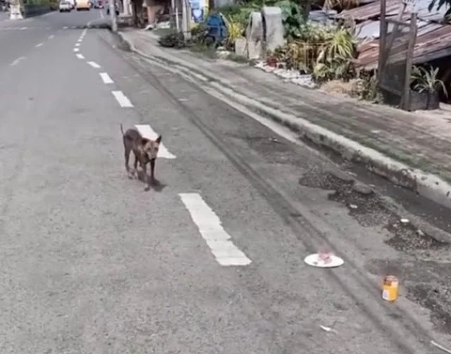 If this story touched you, please share ...