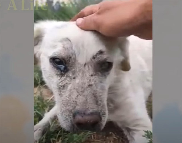 That day finally arrived for her. When s...