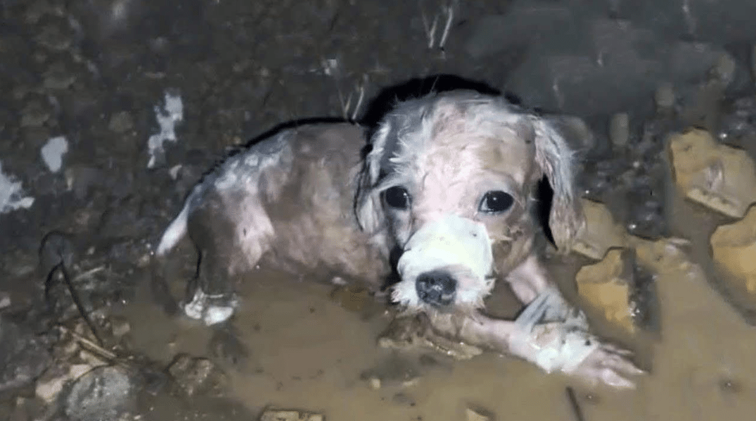 The specifics of how Lucky found himself...