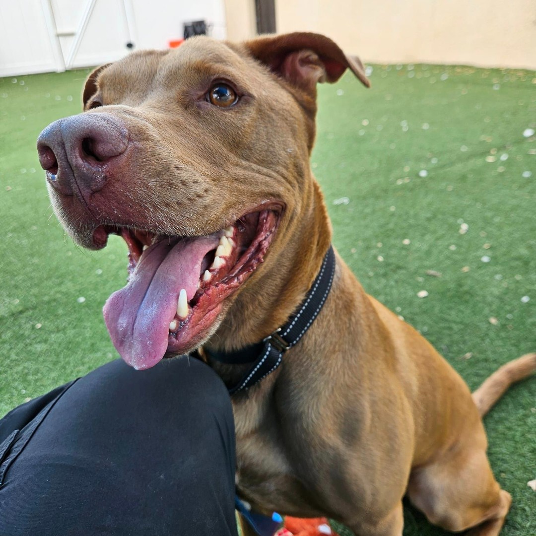 Extra image from article