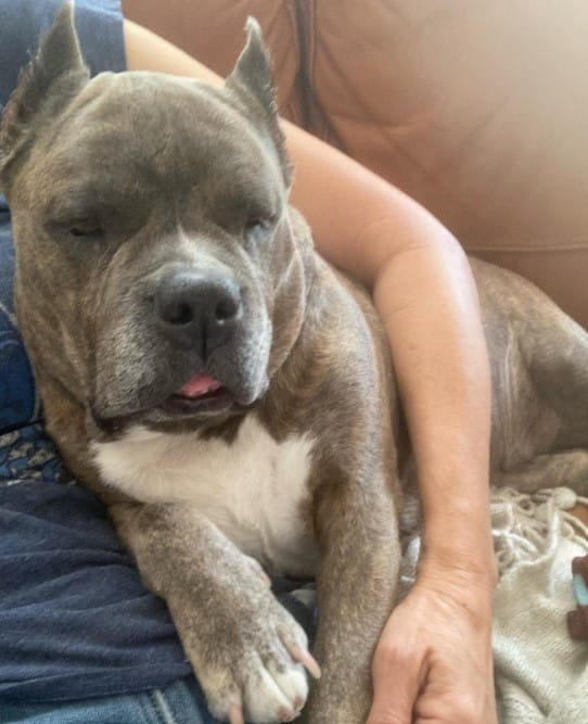 Extra image from article