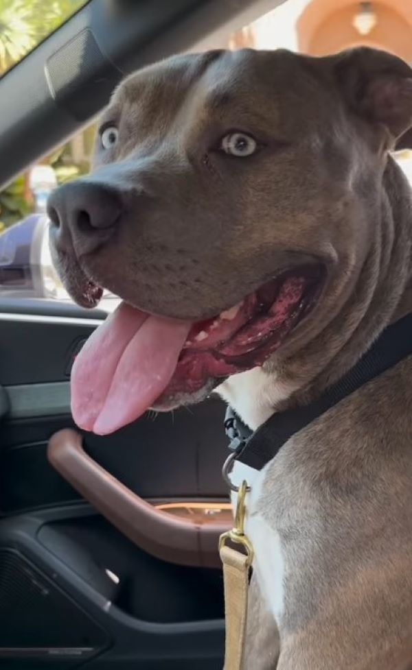 Extra image from article