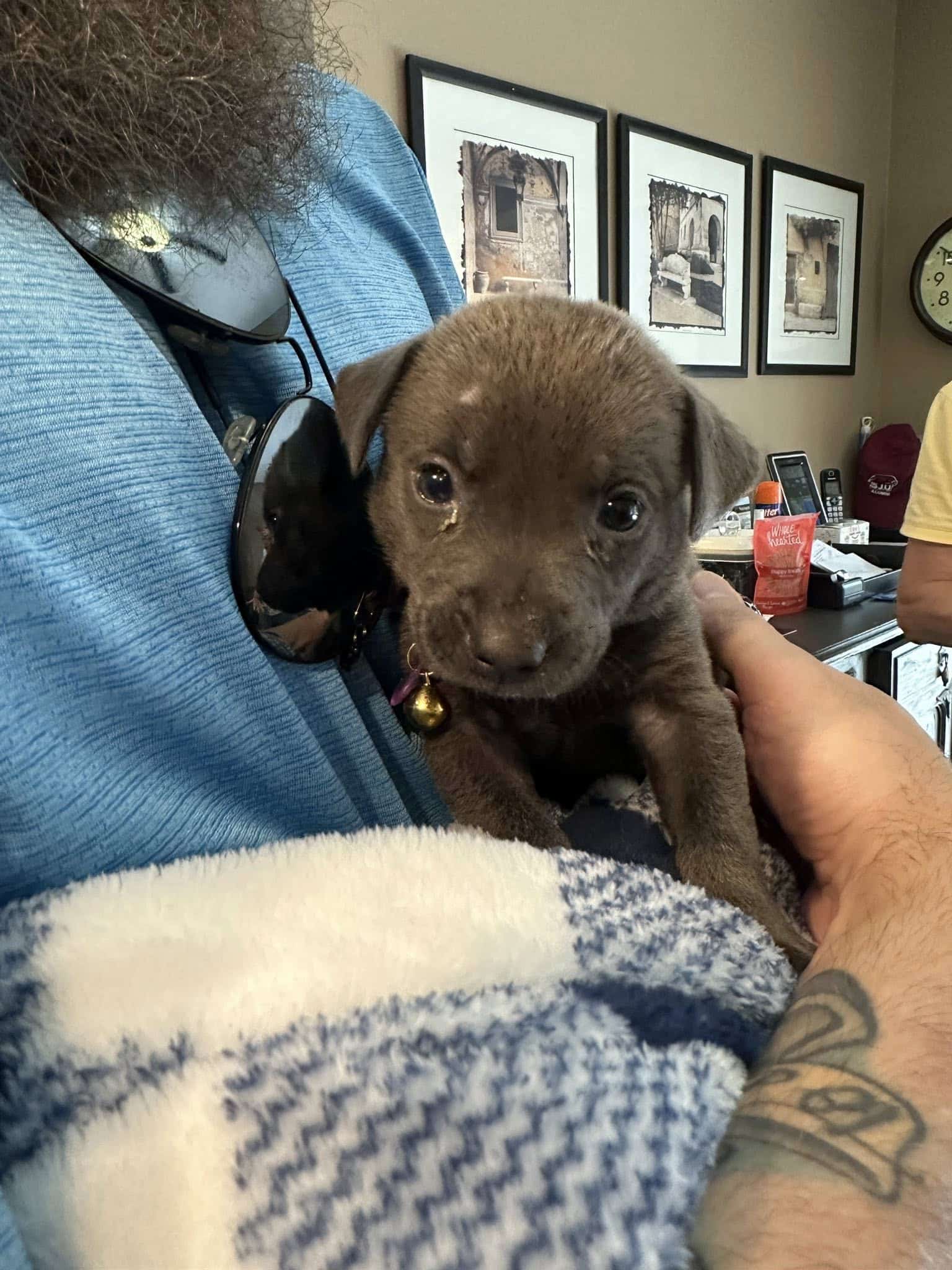 Extra image from article