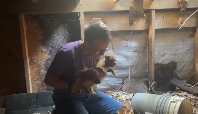 Despite her thorough initial search of t...