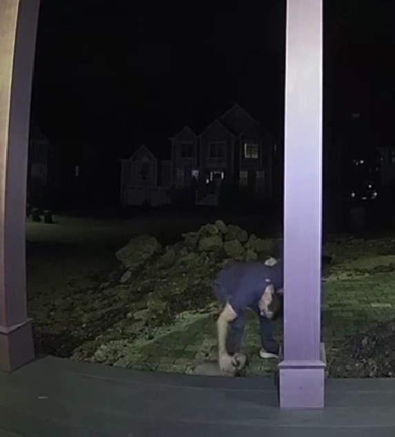 Extra image from article