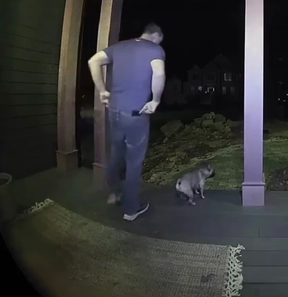 In this subsequent video, Luna's owner r...