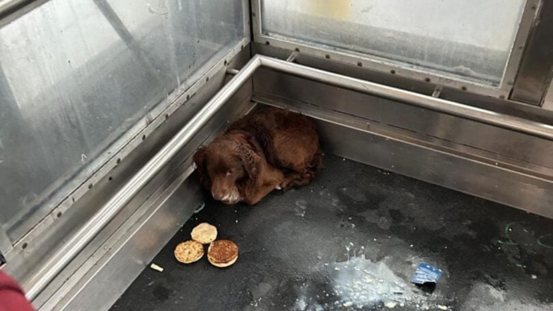 Suzette Hall, who leads Logan’s Legacy 2...