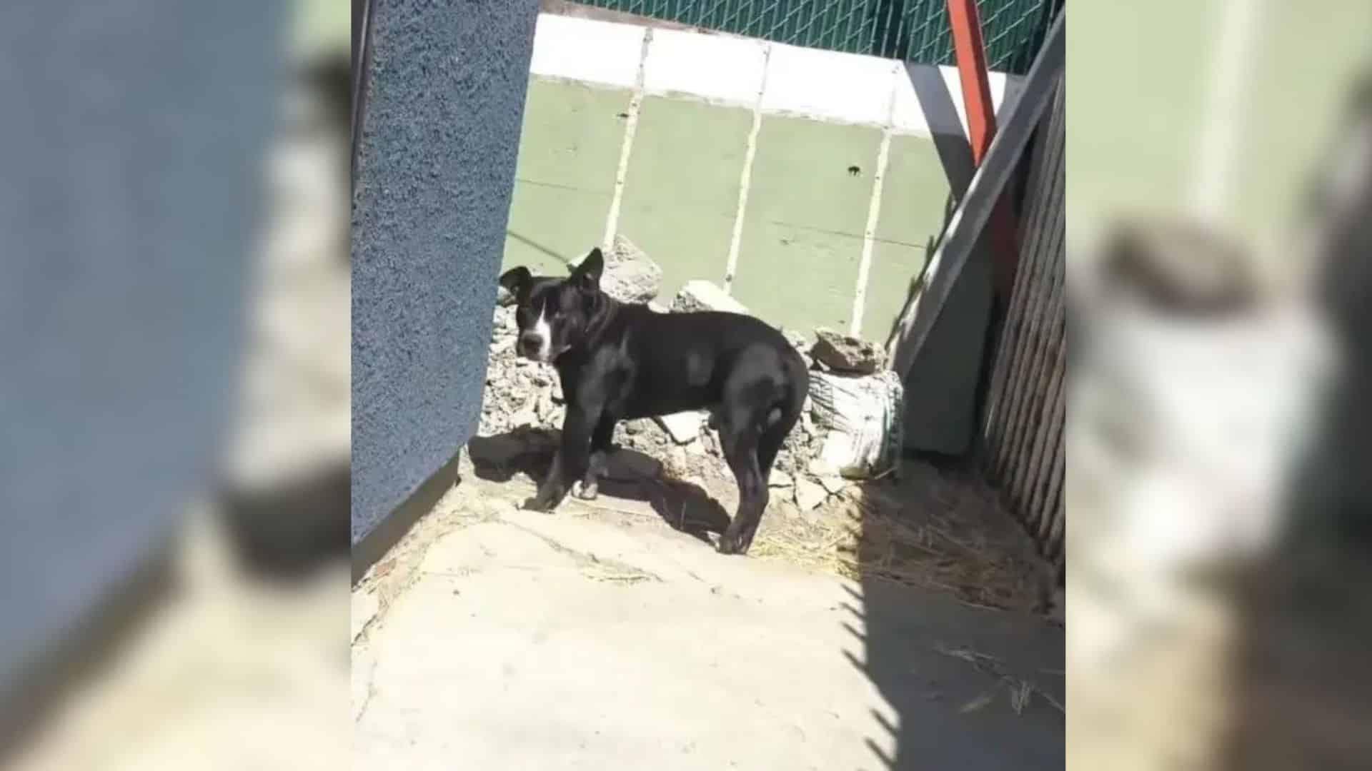 Their story highlights the transformativ...