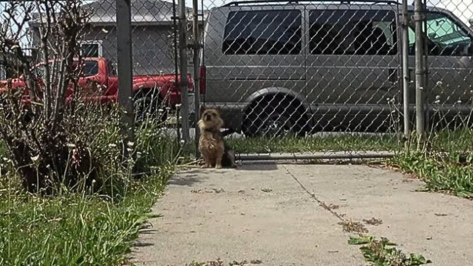 While wandering the streets in search of...