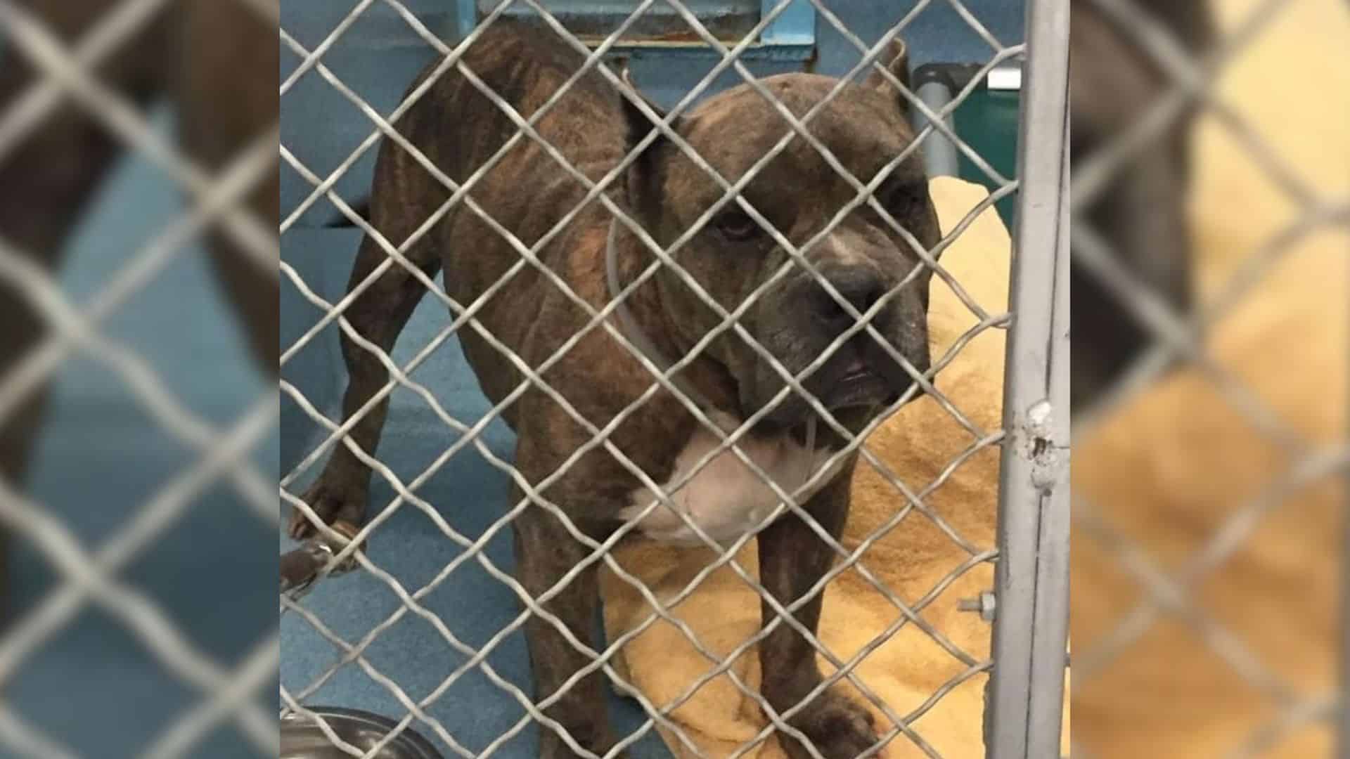 Her hope was answered when passersby not...