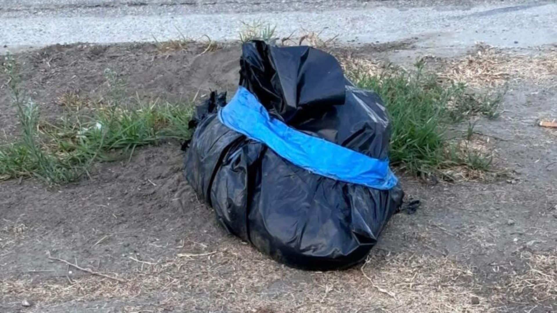 A shocking discovery was made when three...