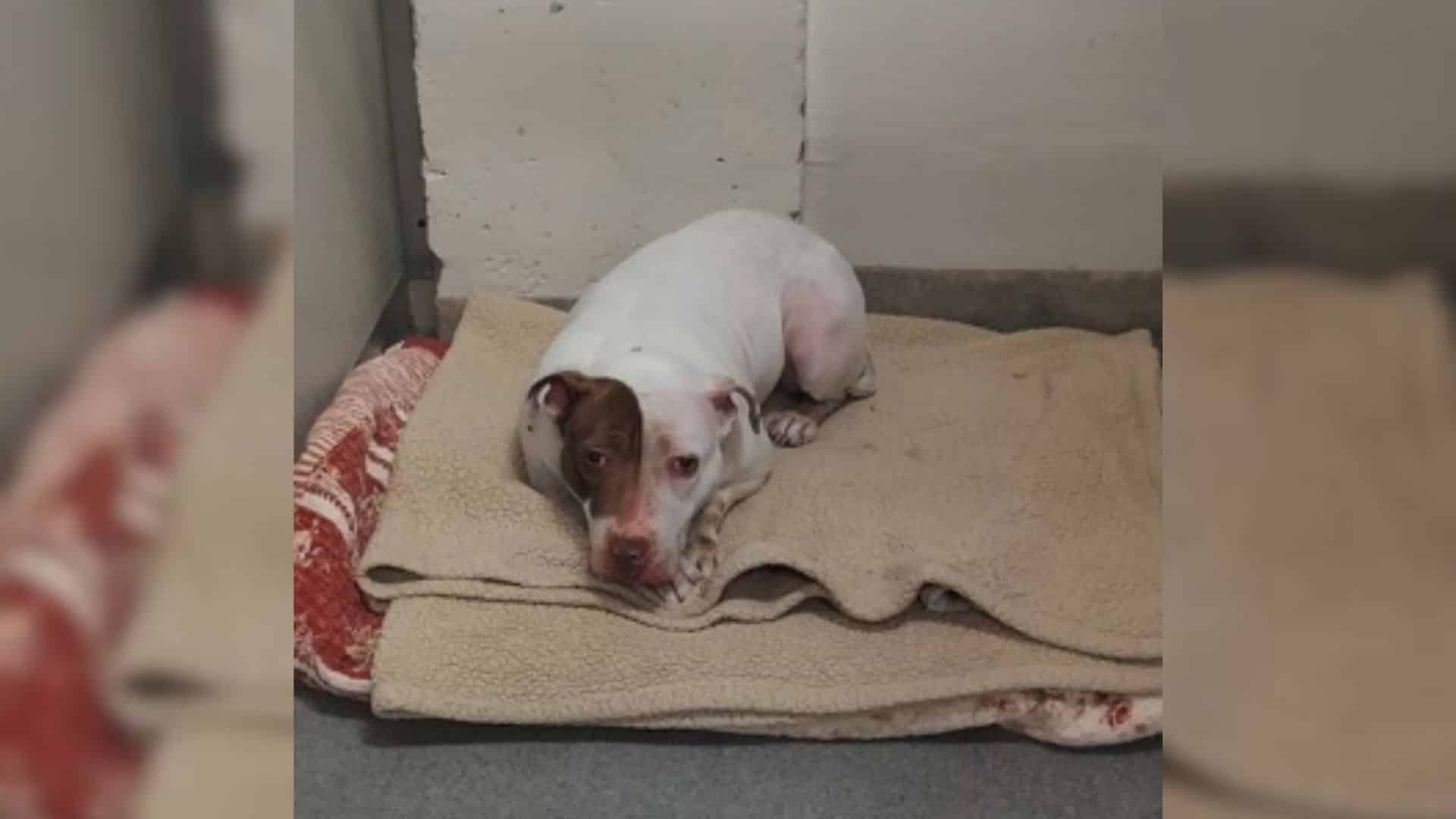 Take Storm, for instance—a three-year-ol...