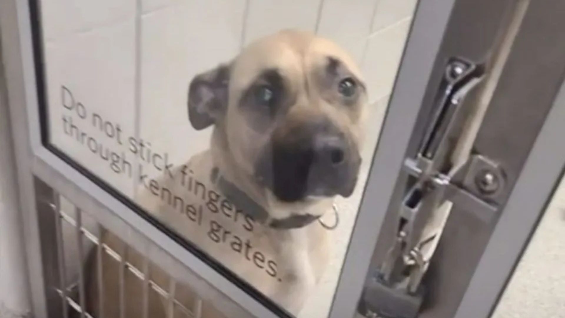 The family promptly reached out to the N...