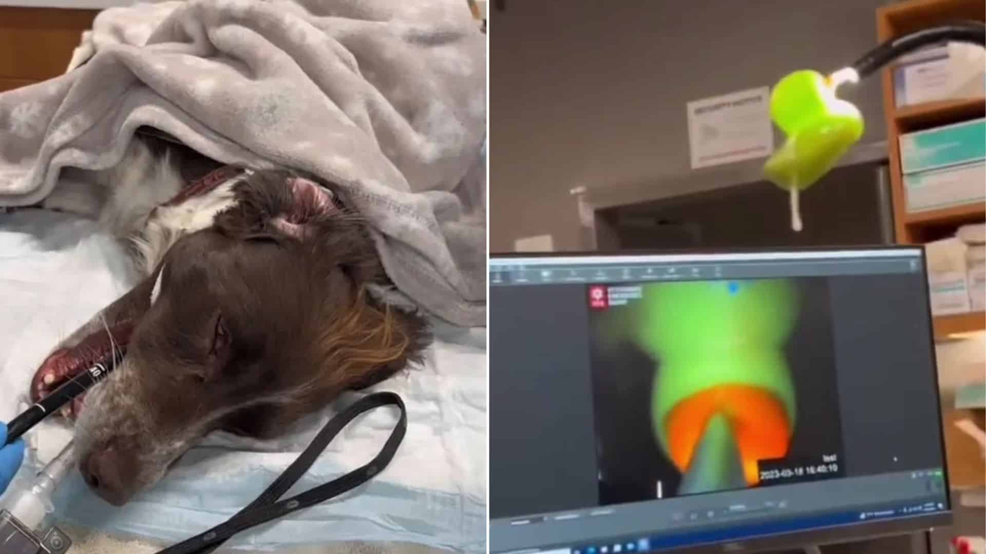 To everyone's surprise, the obstructive ...