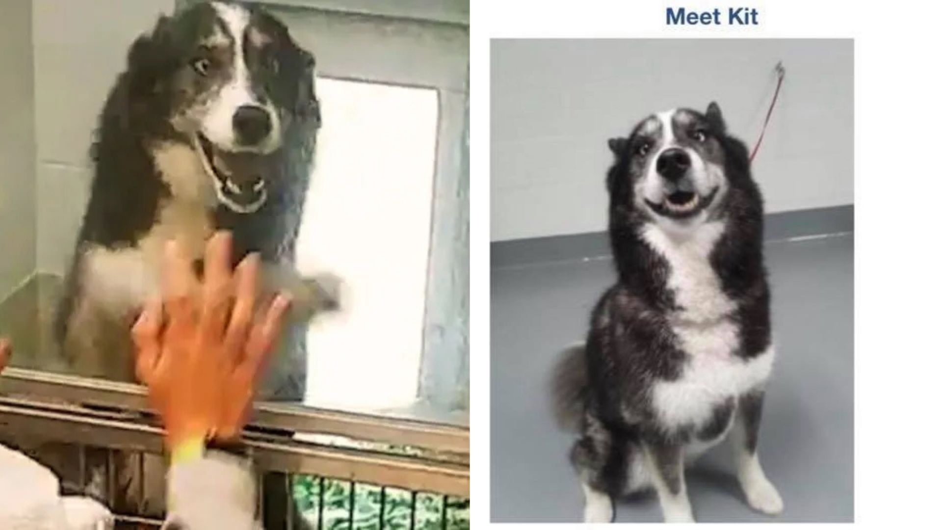 In Savannah, Georgia, a family went thro...