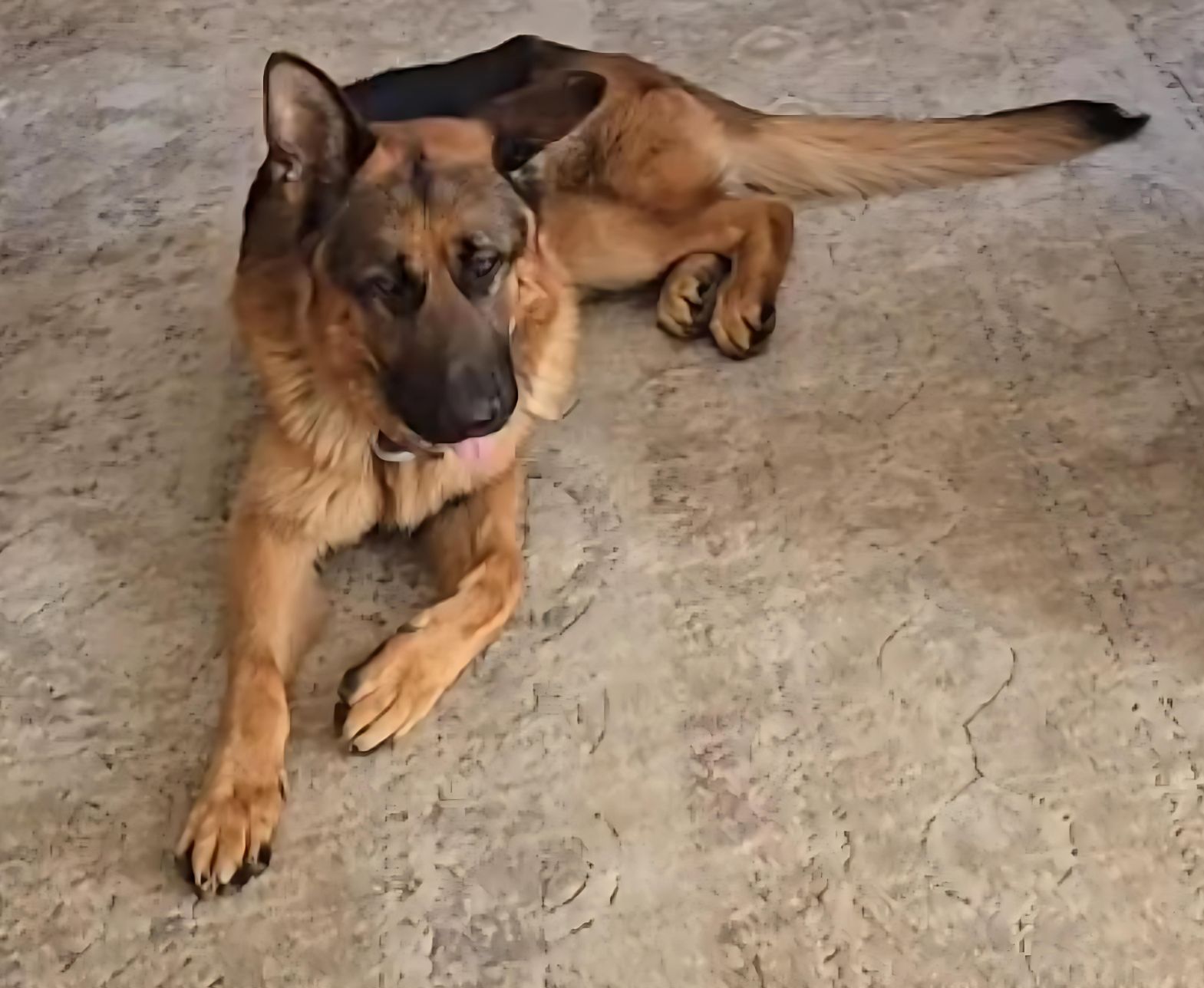 Extra image from article