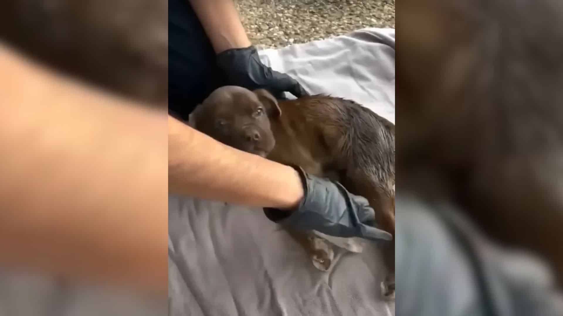 While enjoying a leisurely day fishing i...