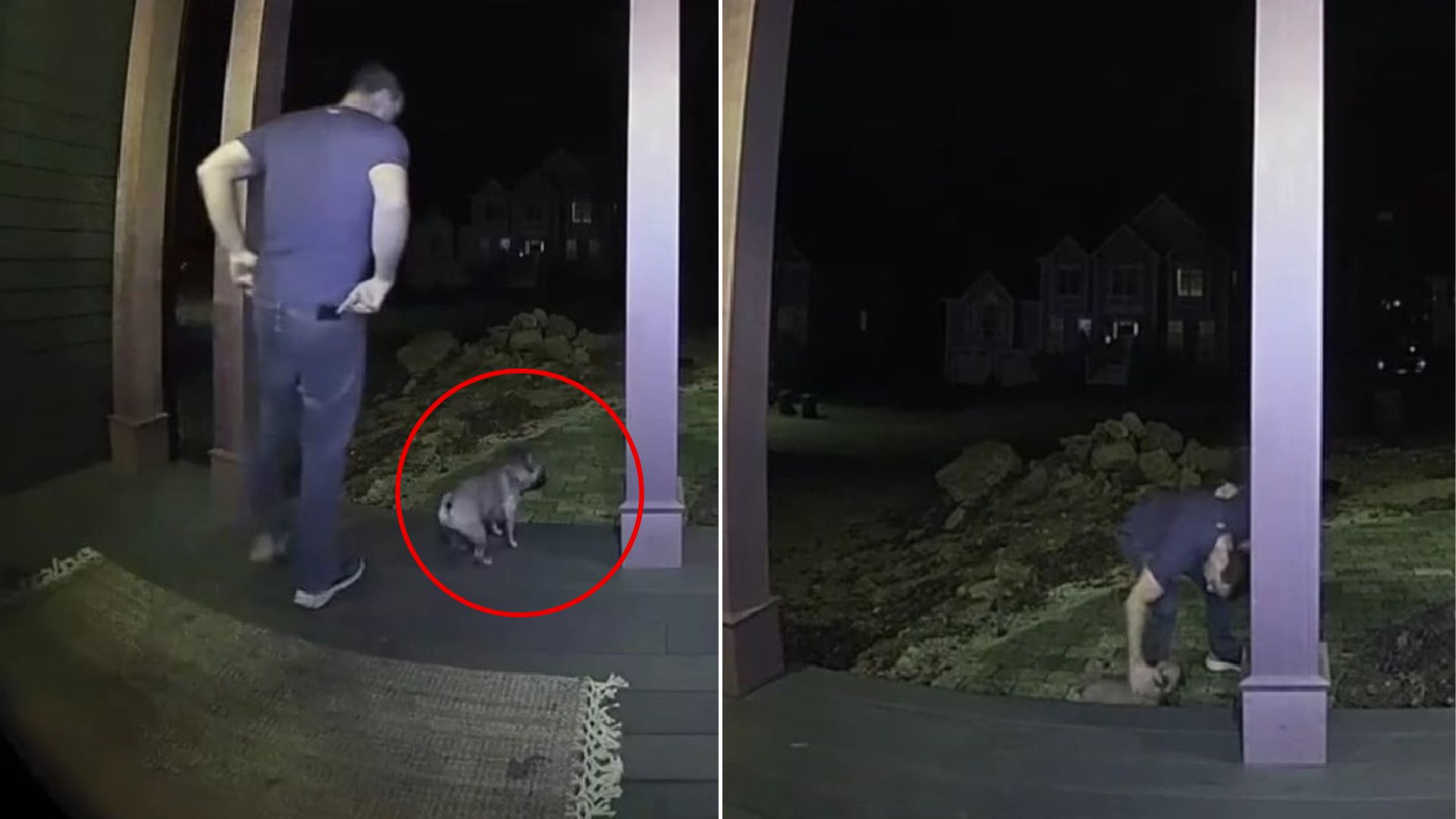 In today's world, where every amusing in...