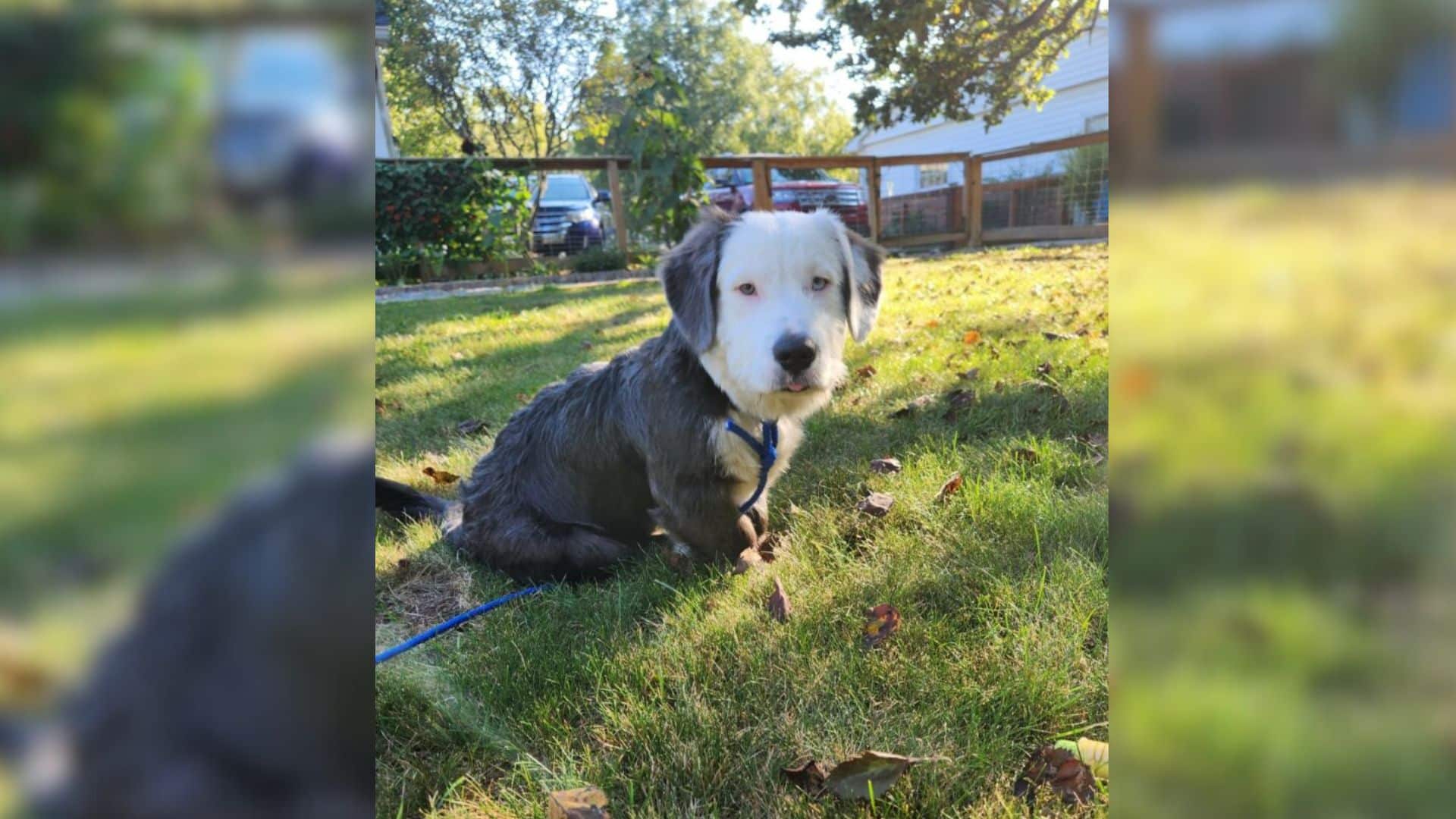 For Bowie’s new owner, Ginna Dufftt from...