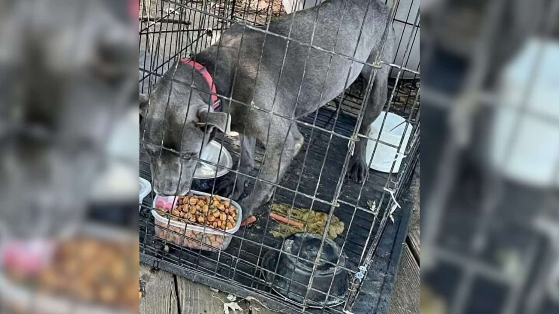 This was the unfortunate reality for a d...