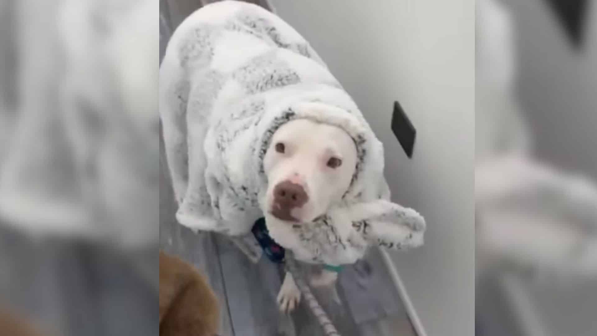 Rudy's story is one of hardship and time...