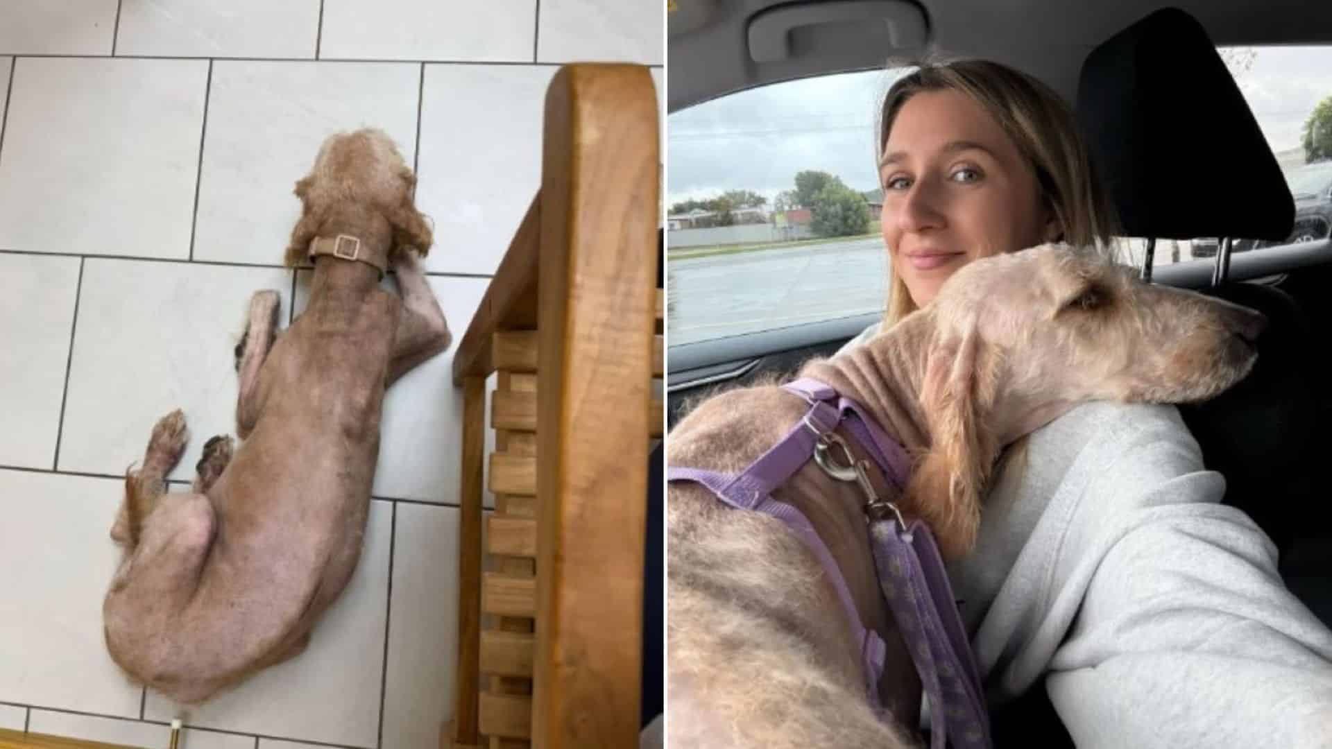 Daisy wasn't alone in this situation; he...