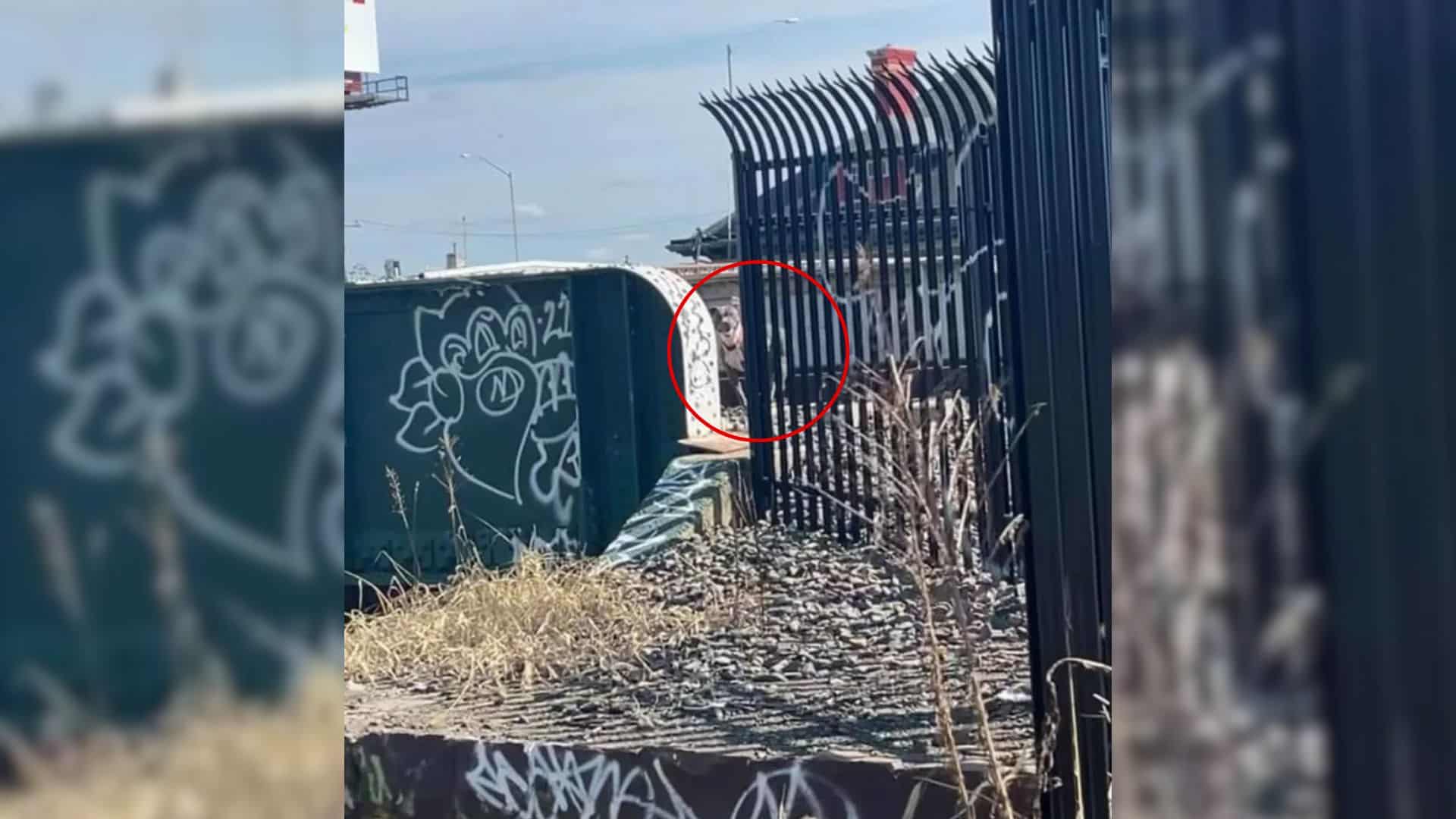 Nina quickly gathered her rescue gear an...