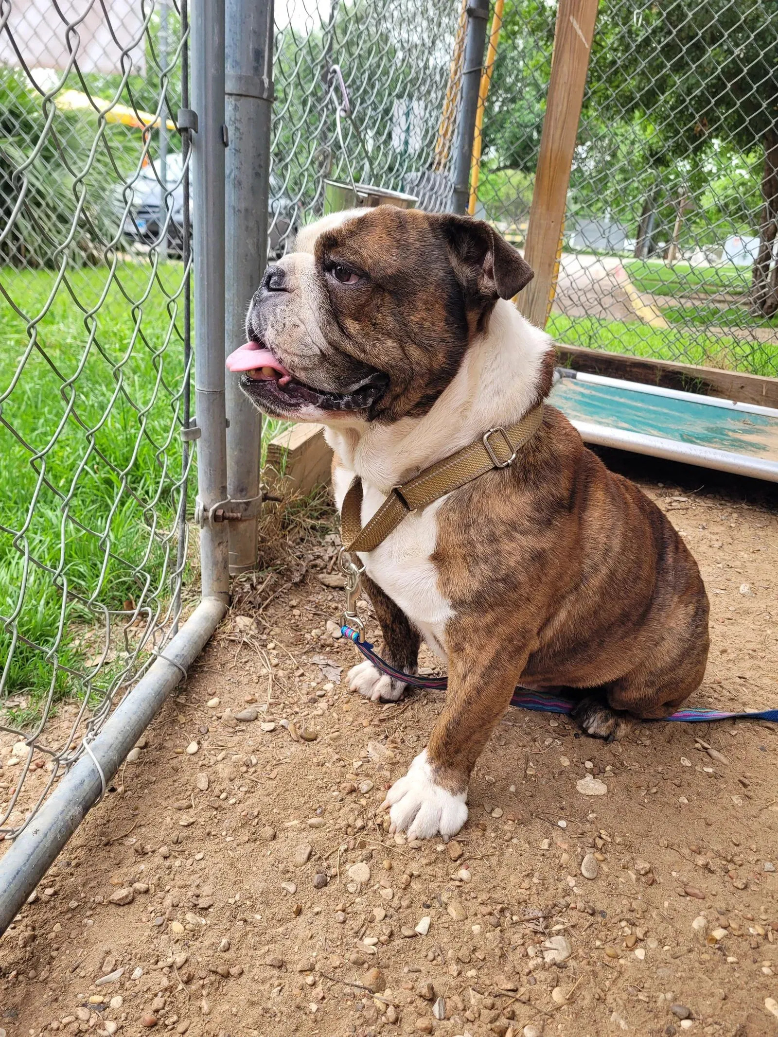 The call to his family was met with disb...