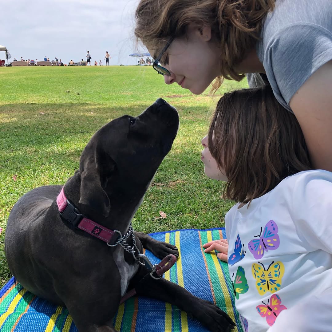 Extra image from article