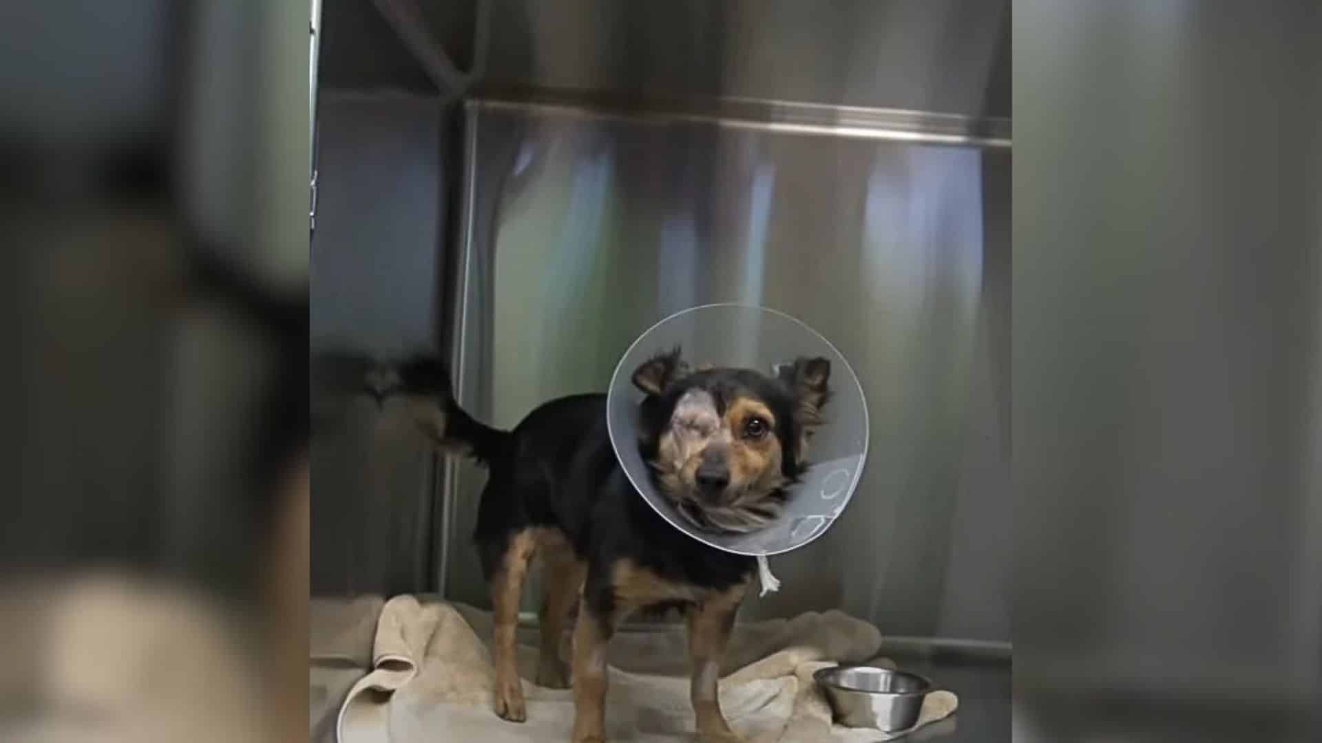 This was the unfortunate situation for P...