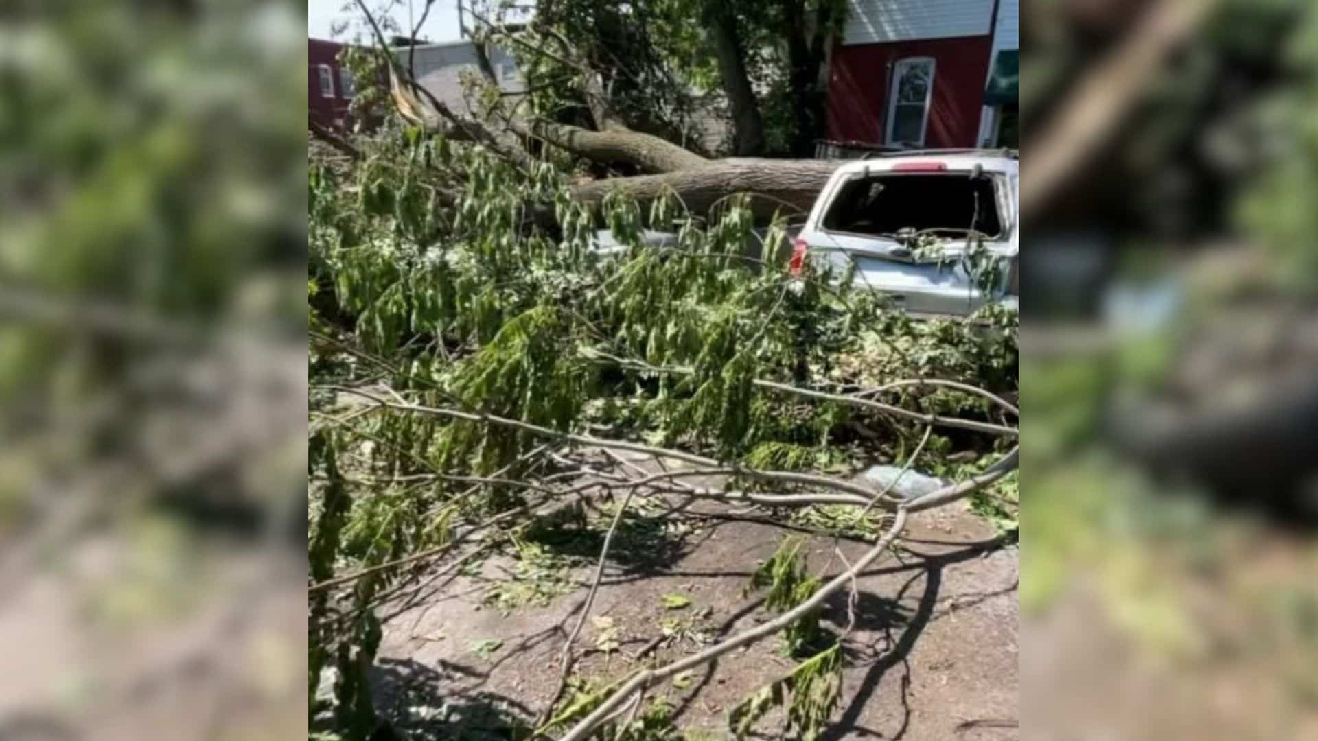 This story highlights the remarkable sur...