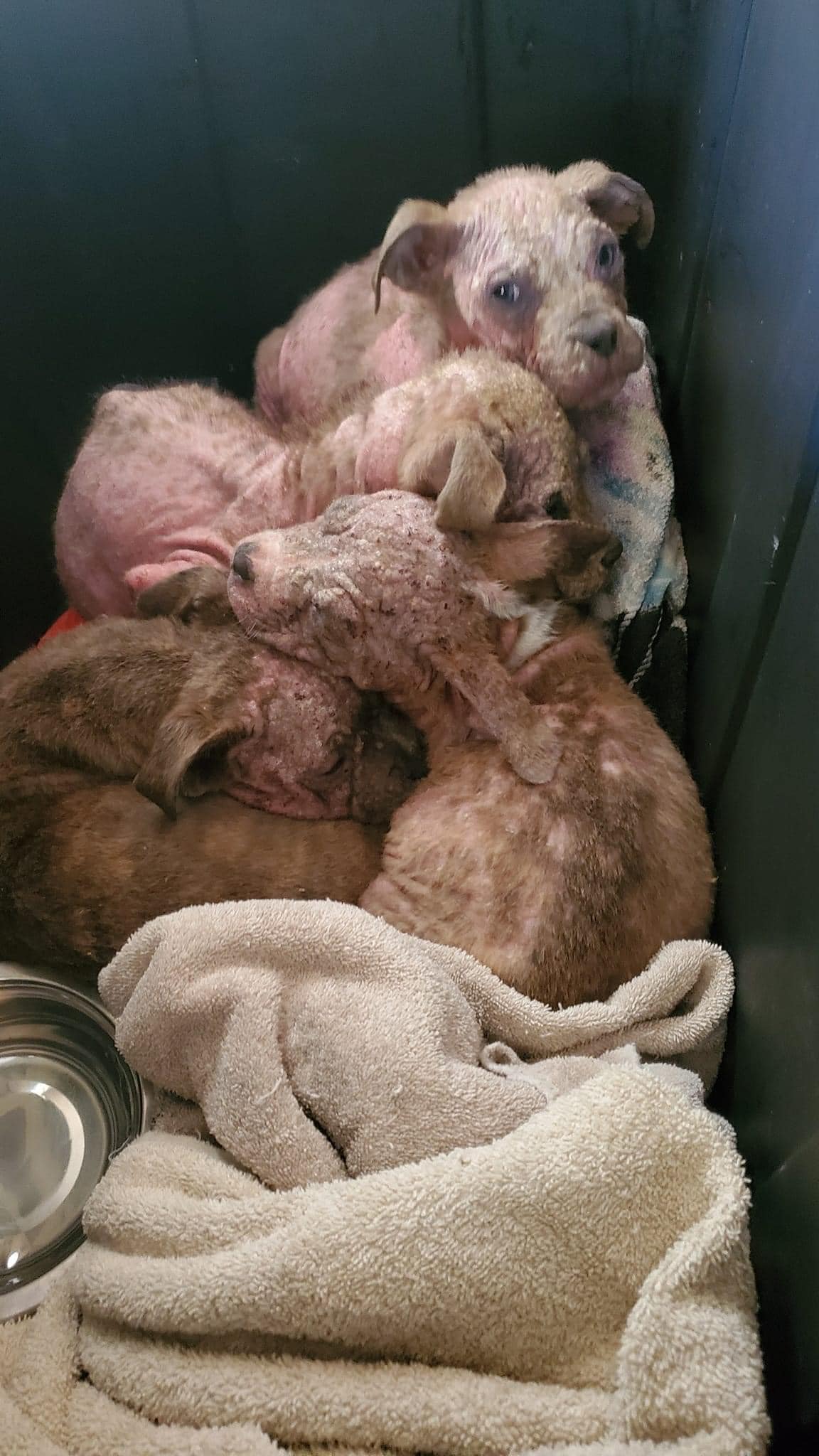 A heartwarming turn came as two of the p...