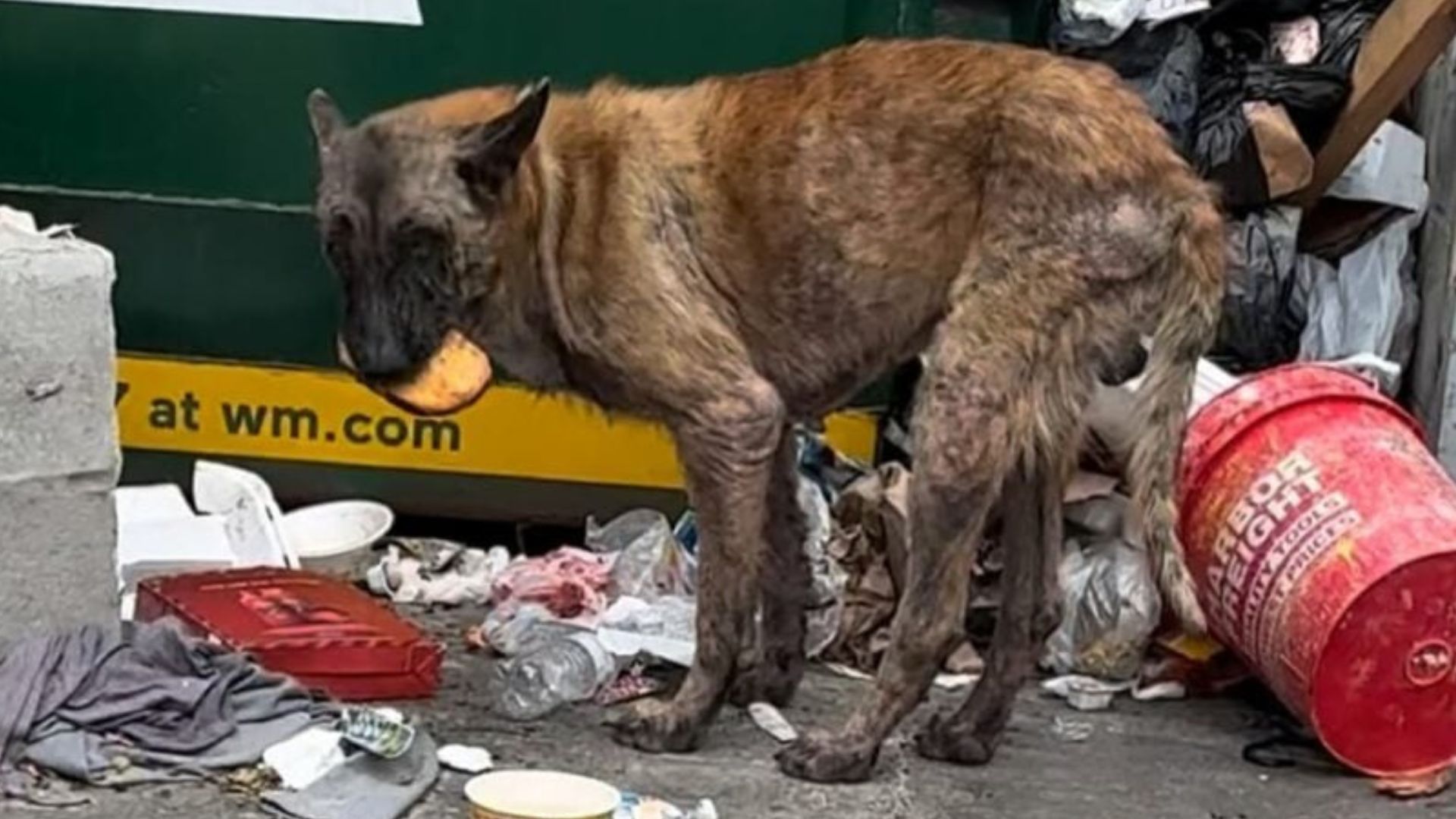 A woman in Texas recently proved just ho...