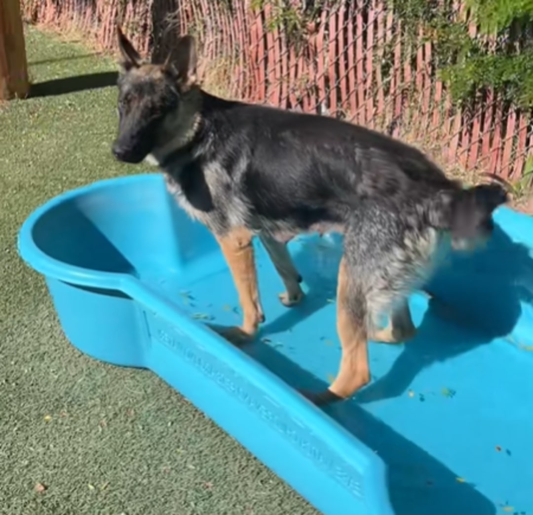 During this poignant outing, Sandy relis...