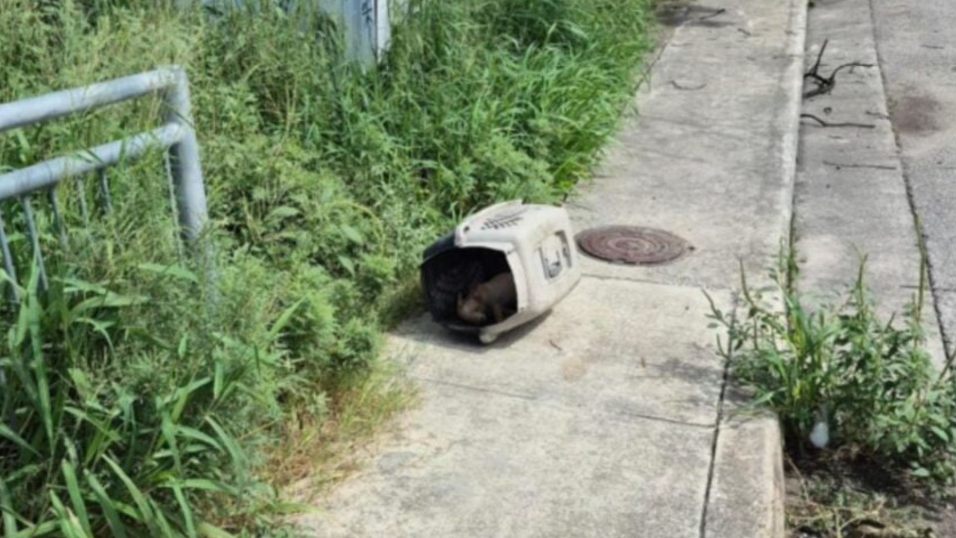 One such heart-wrenching incident occurr...