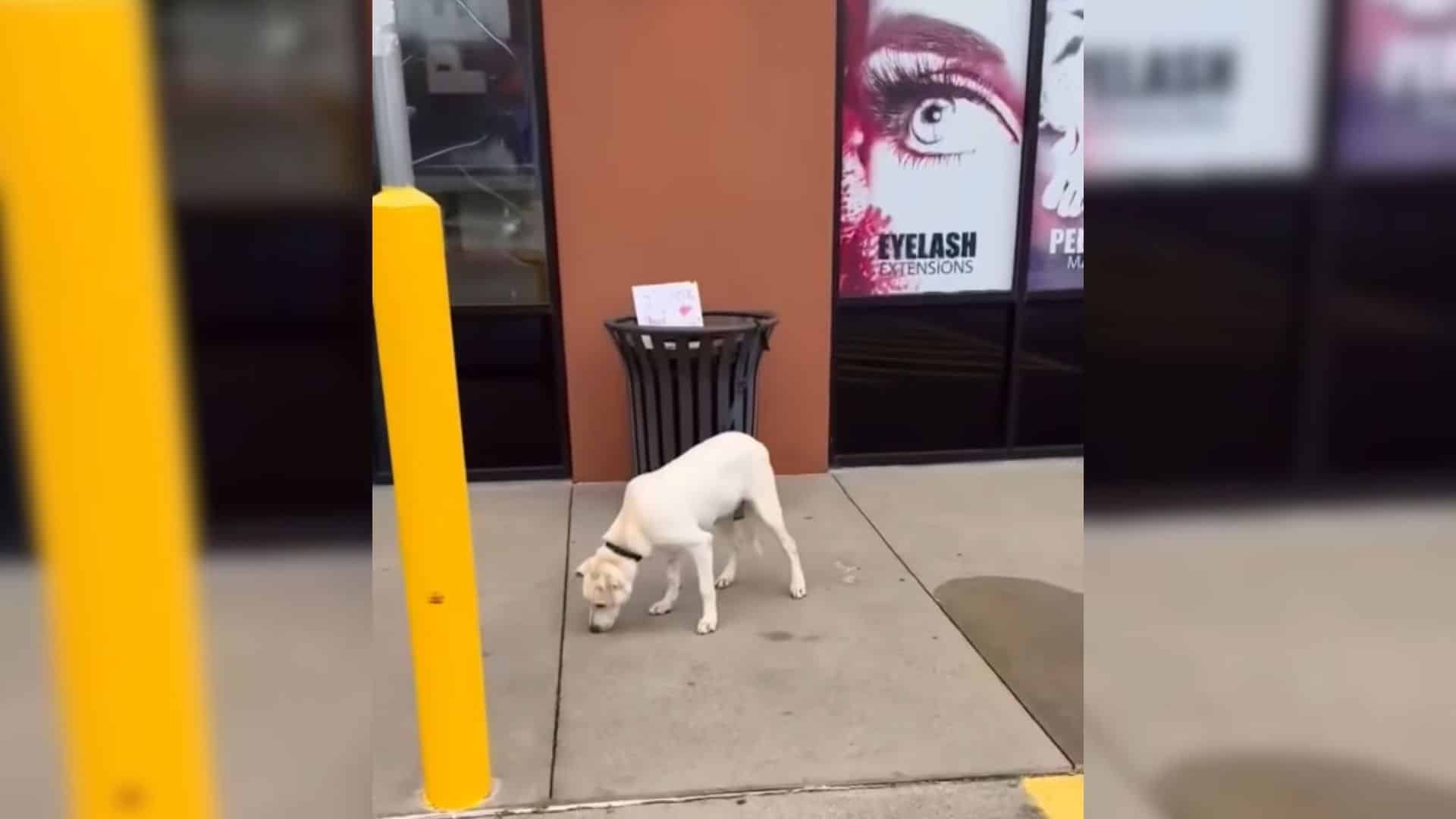 However, the world is not without kindne...