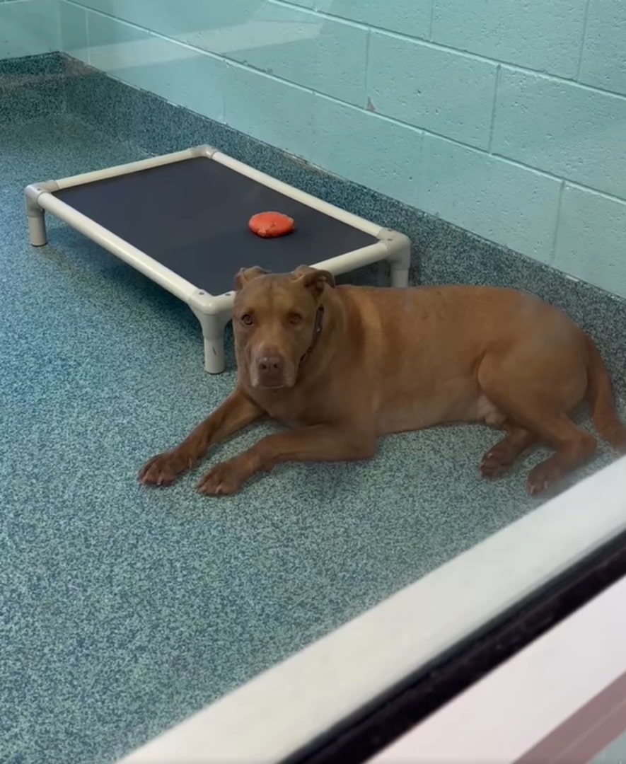 Then Gary came into the picture. Still g...