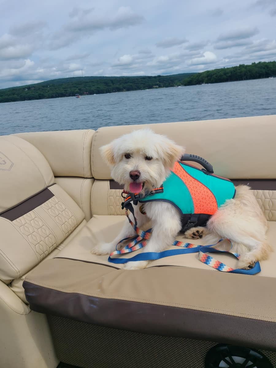 Extra image from article