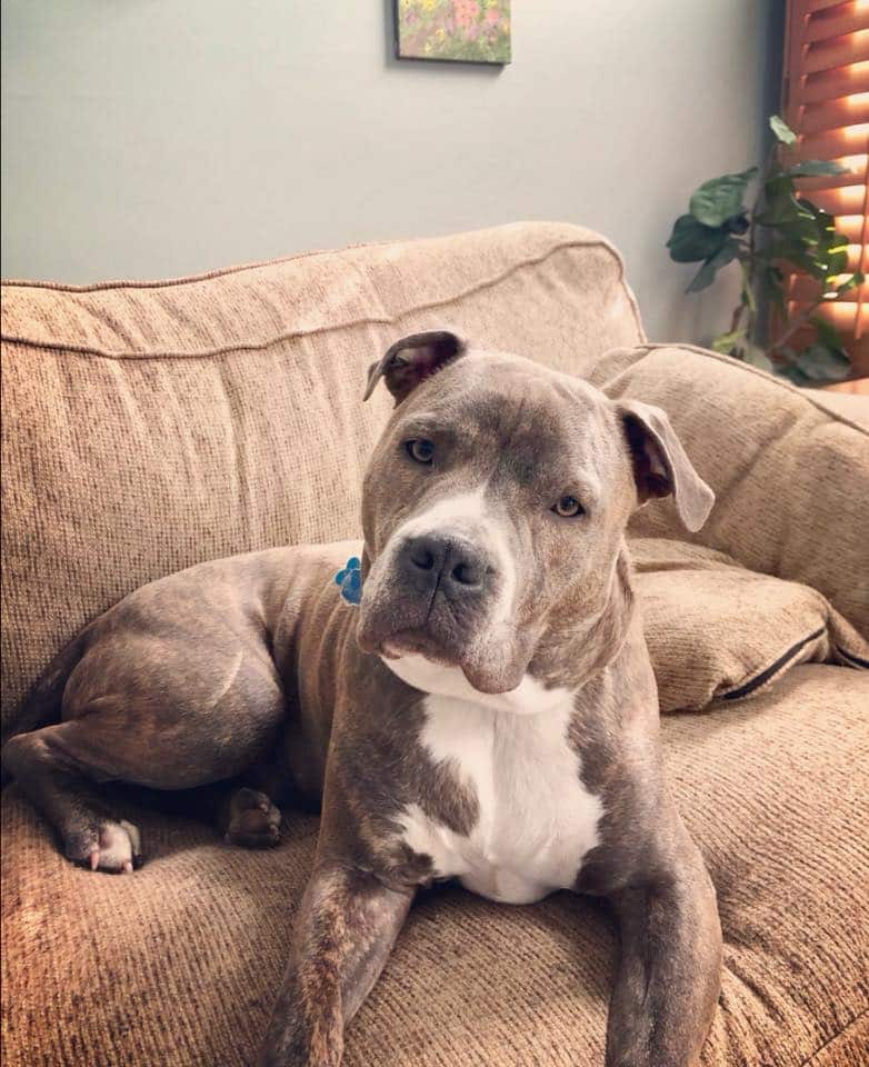 Extra image from article